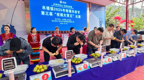 新平水塘：品鲜果 赏民俗 共庆丰收盛事
